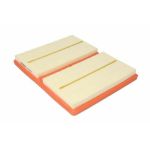 Filter vazduha Filtron AP062/2 LX4246 04C129620A