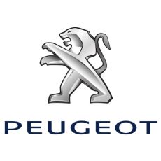 Peugeot 206 1.4HDi 50kW 68KS - delovi za servis - Prosport Auto