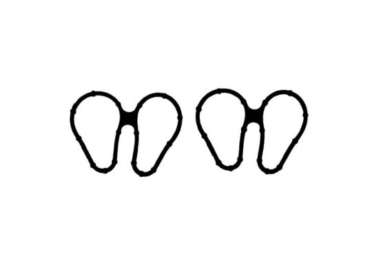 Zaptivač usisa Renault 1.2 Victor Reinz 11-33448-01